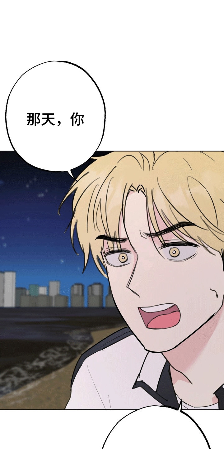 书呆子的生活日常漫画,第15章：烟花3图
