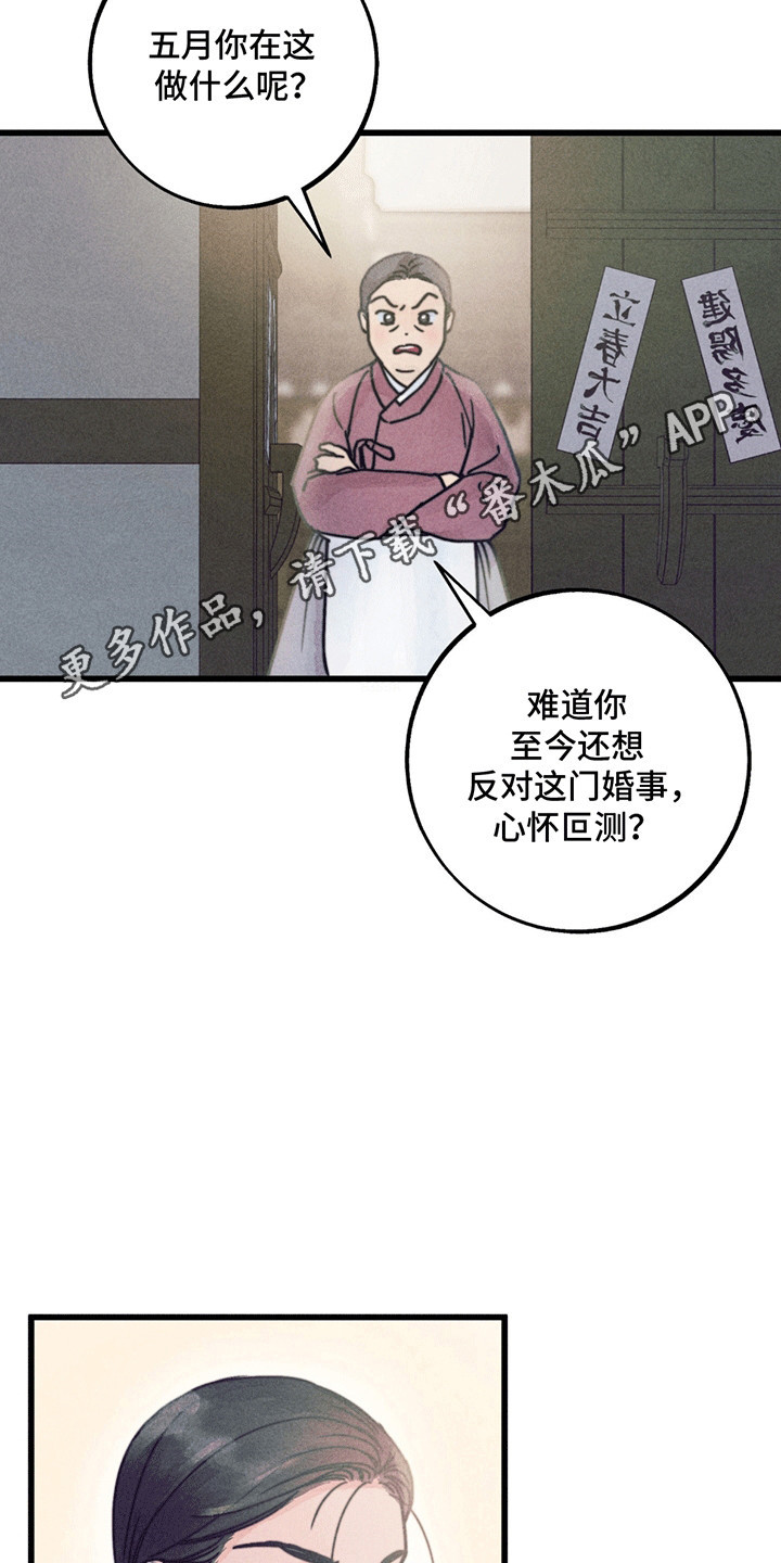 五月的夜晚音乐教案漫画,第1章：婚礼4图