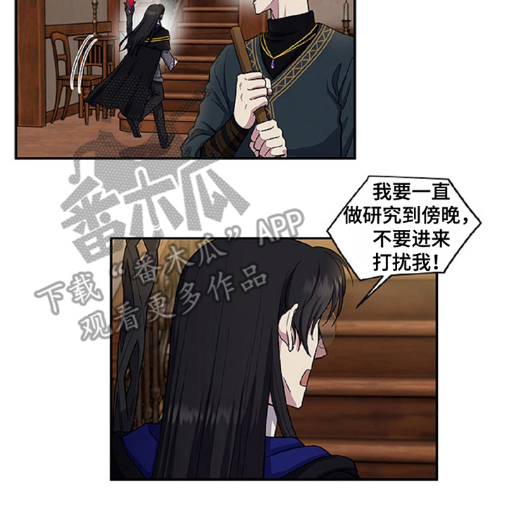 龙的魔法师漫画,第3章：龙之心1图