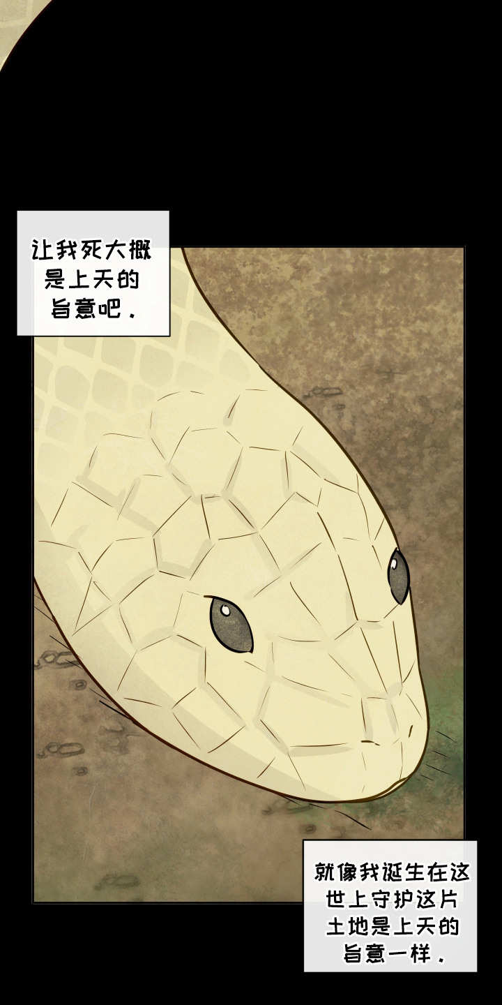 与神相拥漫画,第3章：天意4图