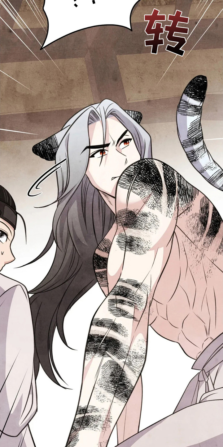 猛虎回头代表什么数字寓意漫画,第11章：很可疑5图