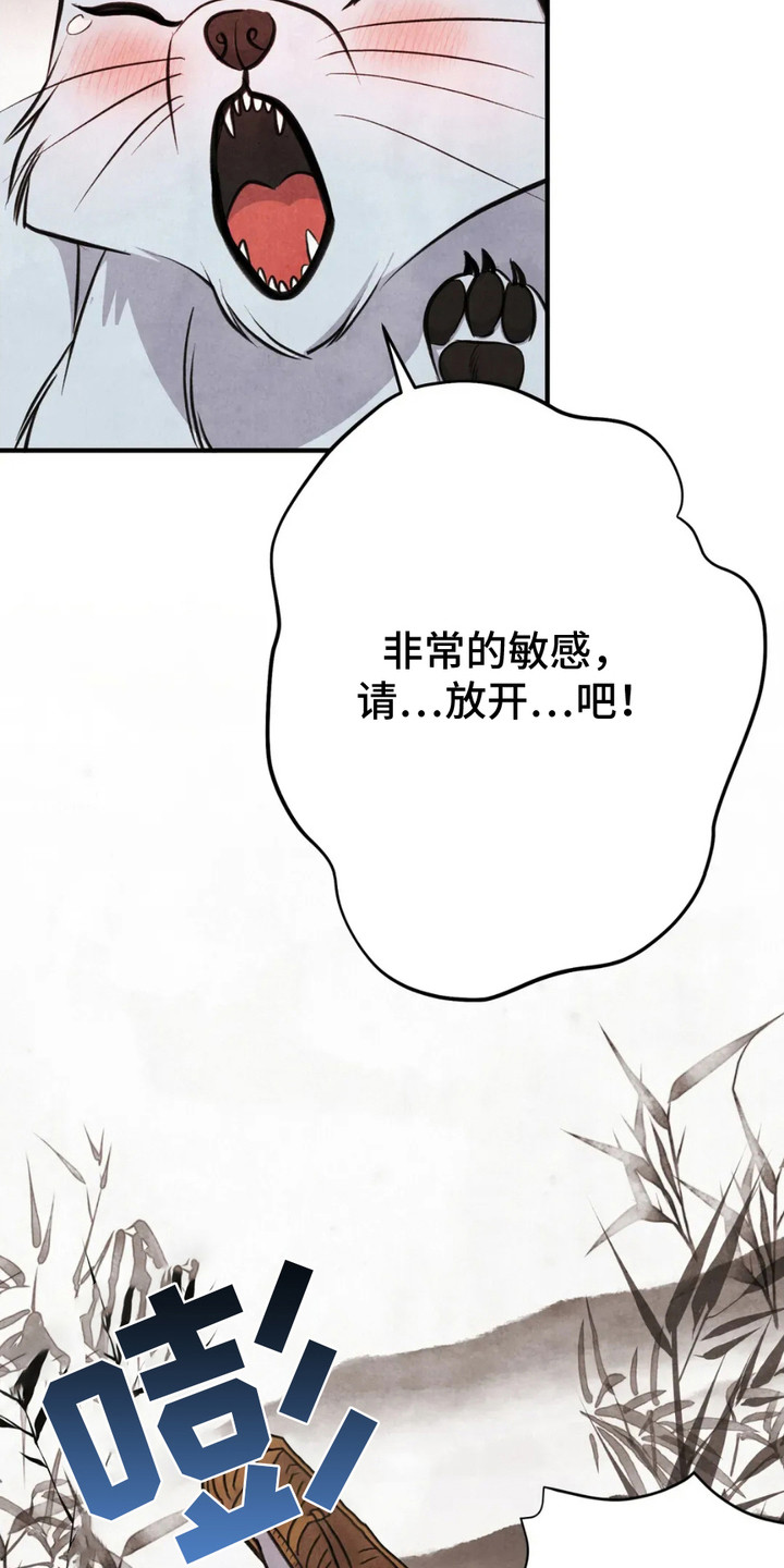 猛虎营装备怎么样漫画,第12章：狐狸2图