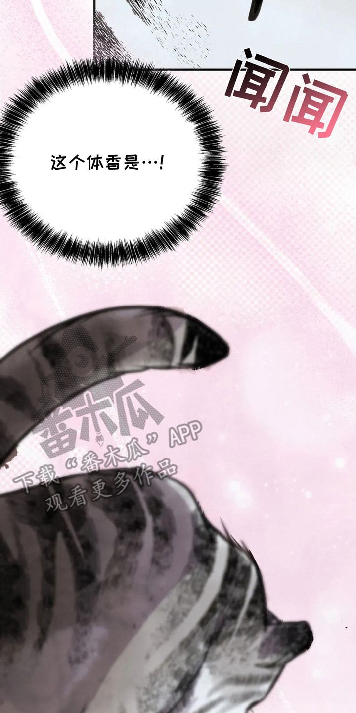 猛虎护身漫画,第5章：相思病4图