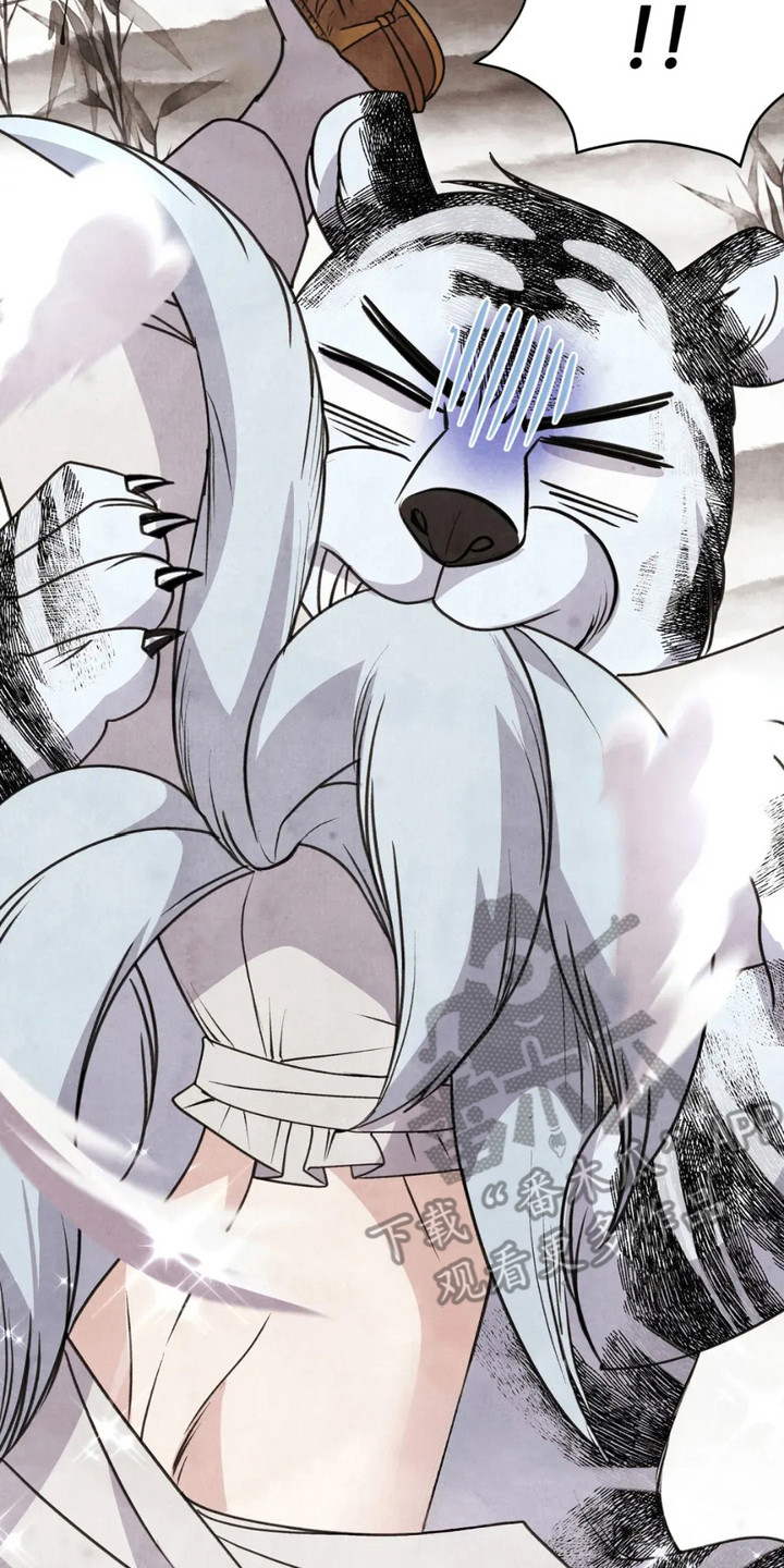 猛虎营装备怎么样漫画,第12章：狐狸3图