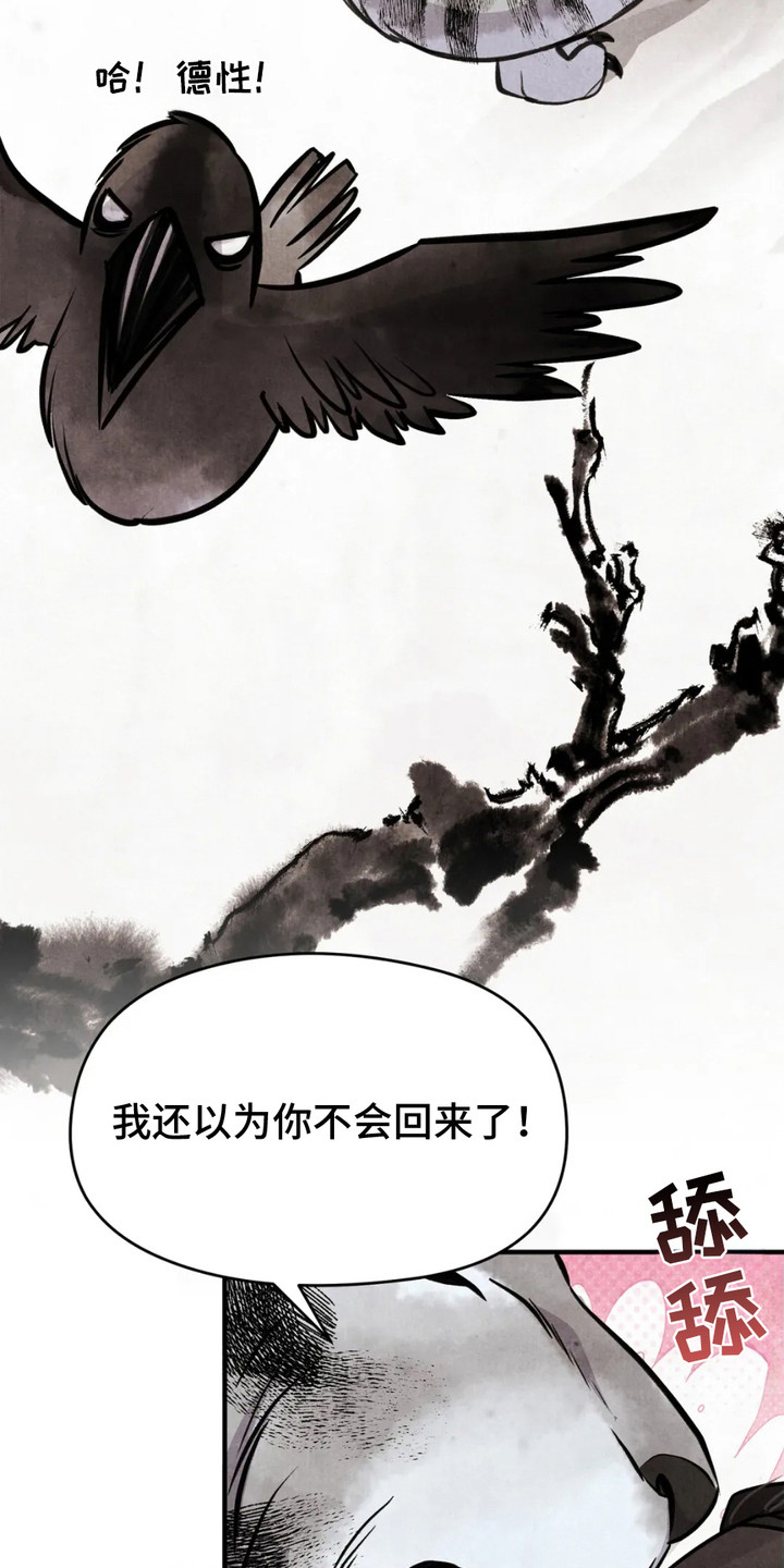 猛虎护身漫画,第5章：相思病2图