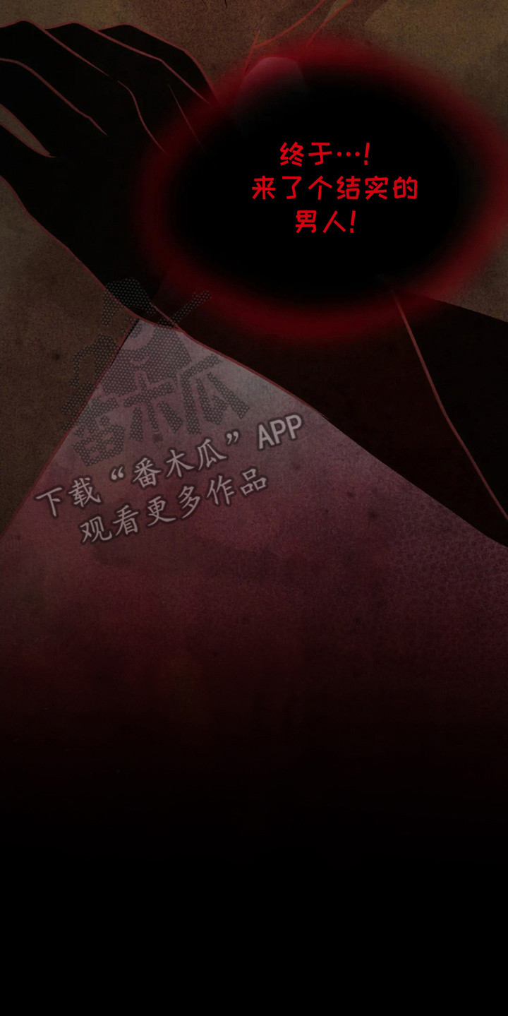 猛虎上尉漫画,第17章：诱饵1图