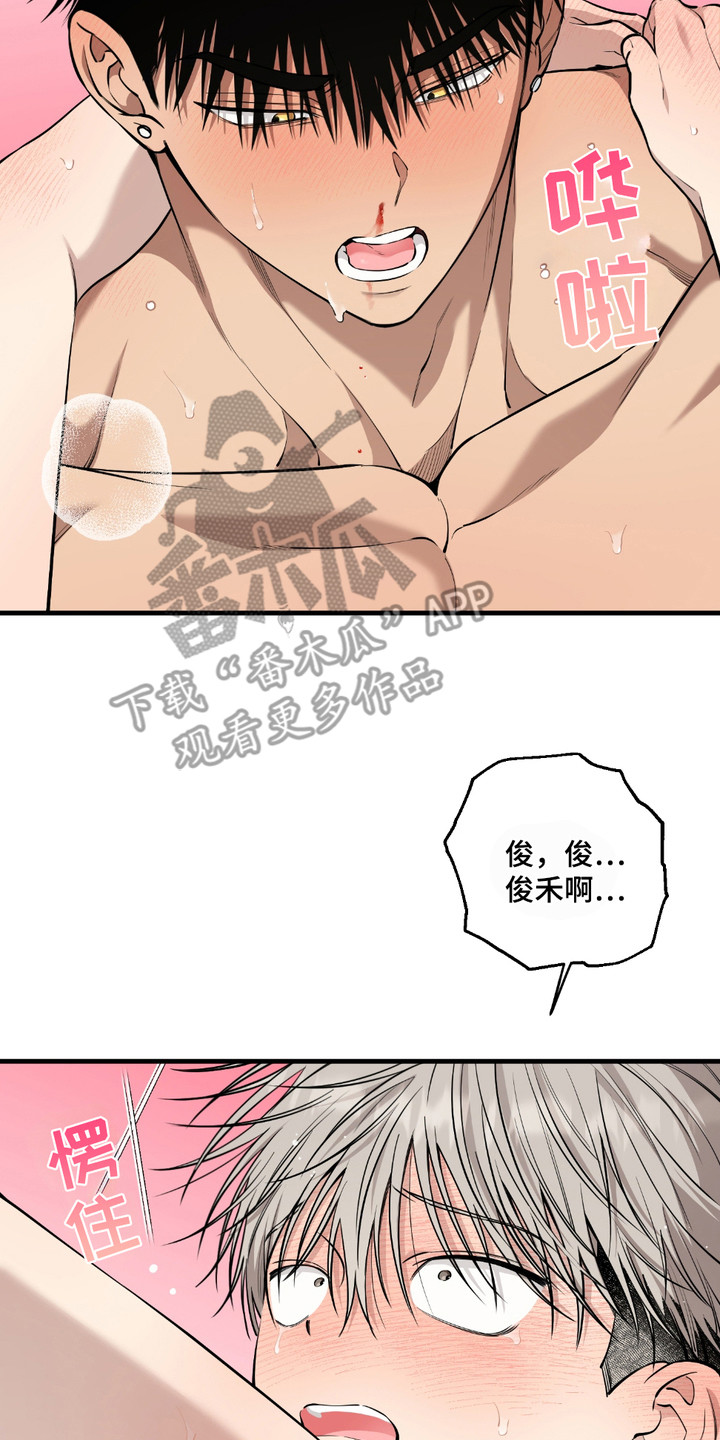 多情的虔诚漫画,第20章：继续练箭（完结）4图