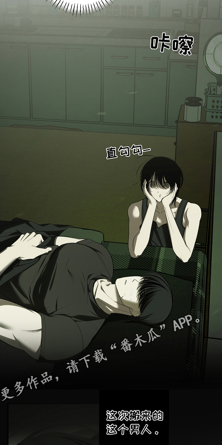 辣椒鳗鱼鬼椒面品牌漫画,第8章：多观察1图