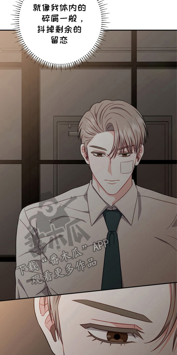 忘掉爱漫画,第9章：平复内心3图