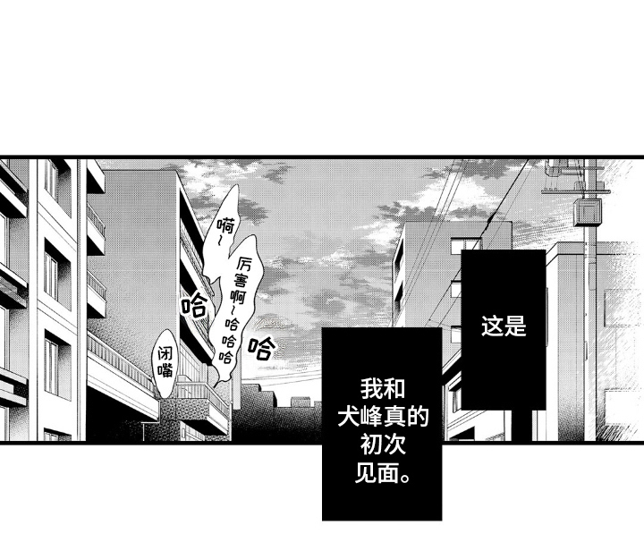 像狗狗性格的猫漫画,第1章：初次见面4图