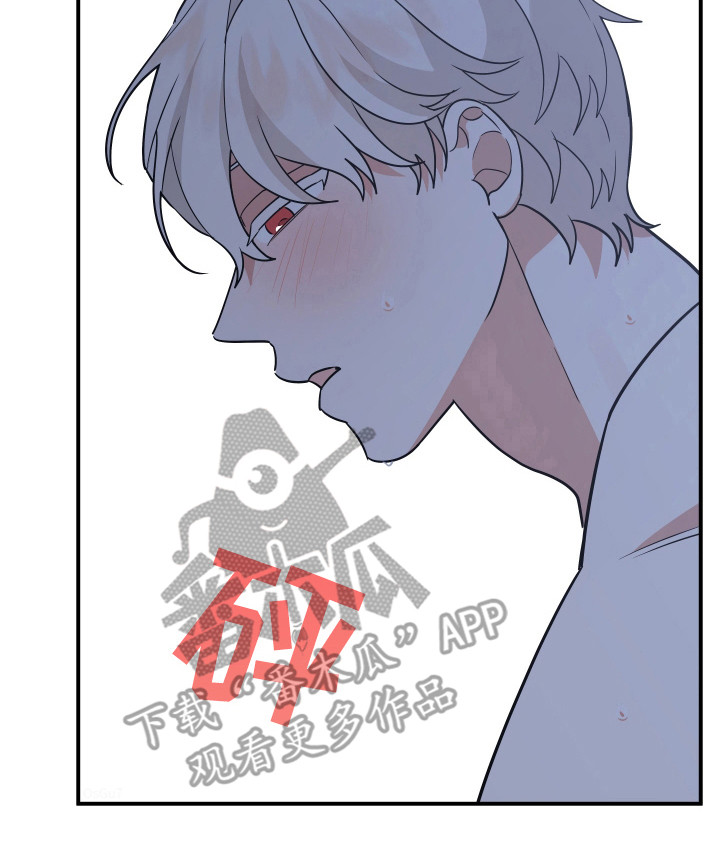 我亲爱的敌人漫画,第14章：不记得5图