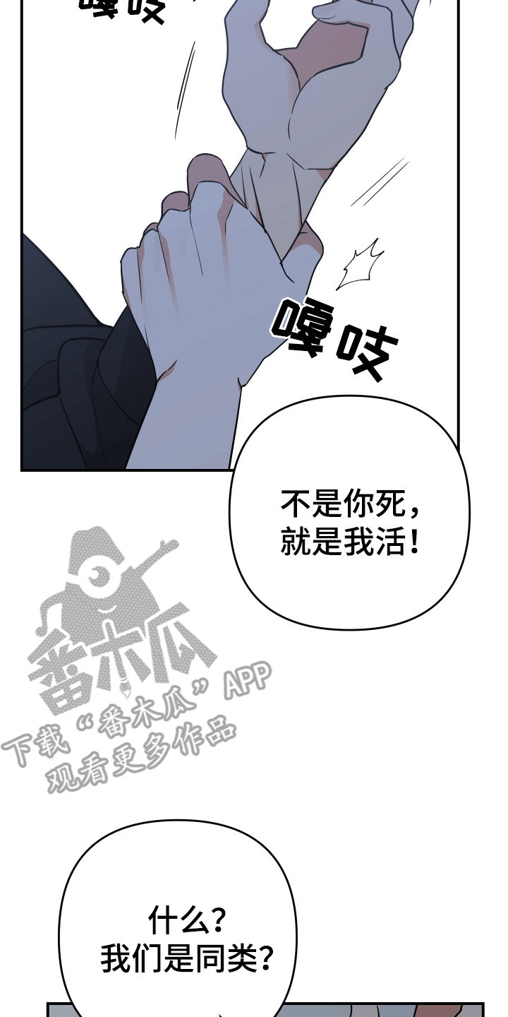 我亲爱的敌人漫画,第9章：失忆4图