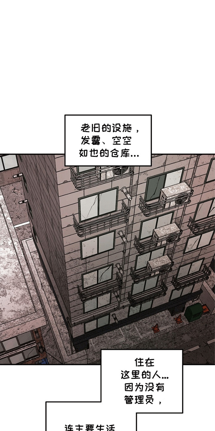 重生在五六十年代小说漫画,第16章：奇怪的账户3图