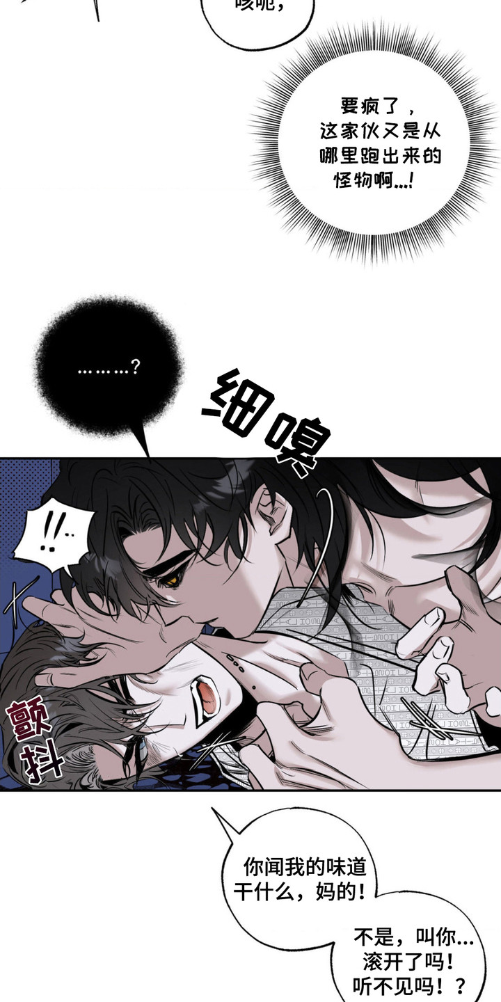 月光蟒影漫画,第2章：诅咒之匣3图