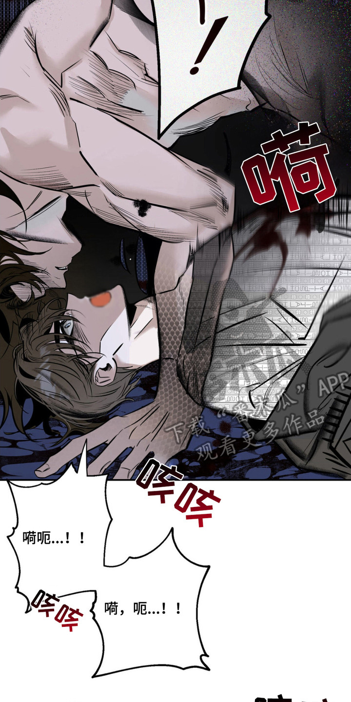 月光蟒影漫画,第2章：诅咒之匣4图