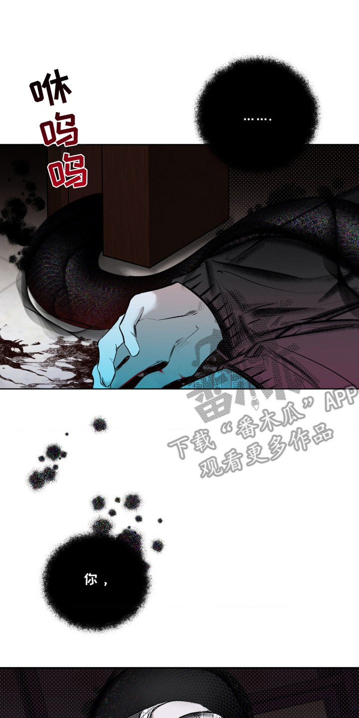 月光蟒影漫画,第2章：诅咒之匣1图