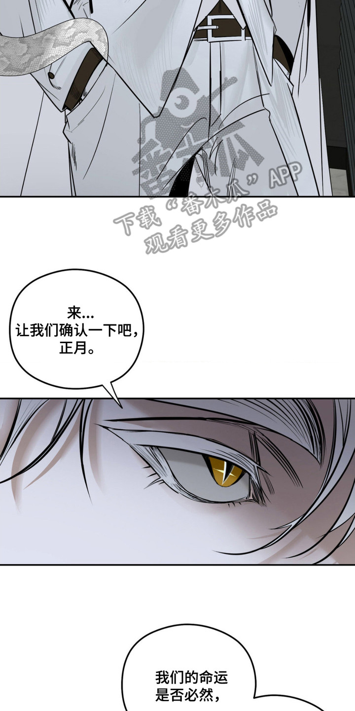 月光蟒影漫画,第1章：无头蛇2图