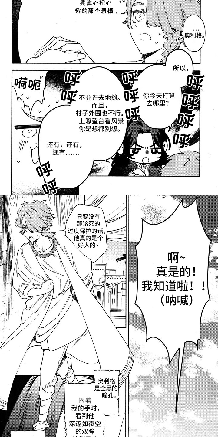 第13章：过度保护1