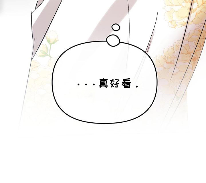 花莲守护神漫画,第9章：新王2图