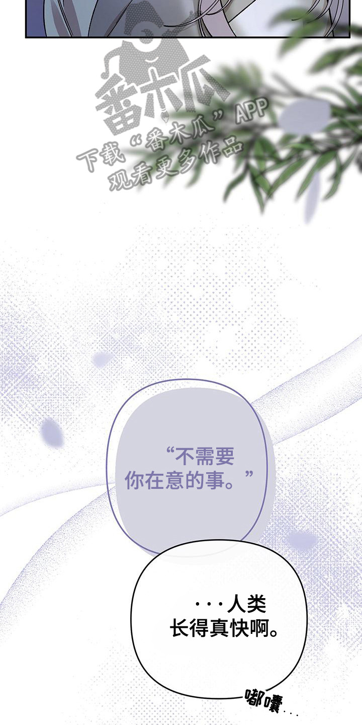 花莲守护神漫画,第7章：放心不下2图