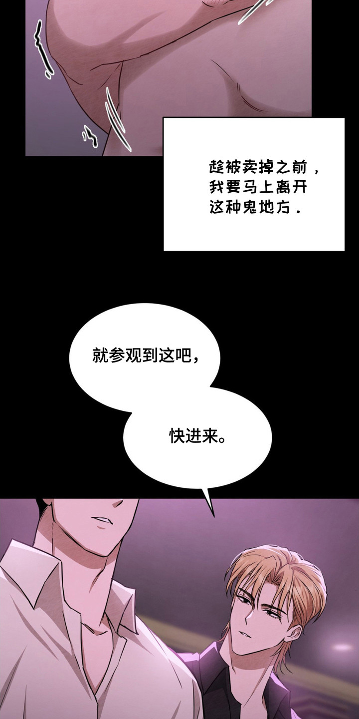 赌城陷阱漫画,第9章：VIP室1图