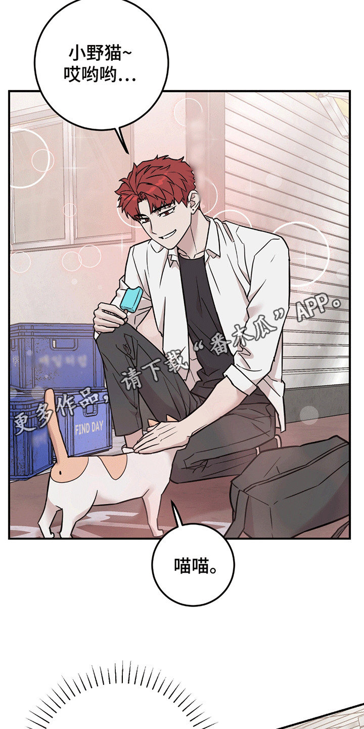 被不良缠上漫画,第11章：改观2图