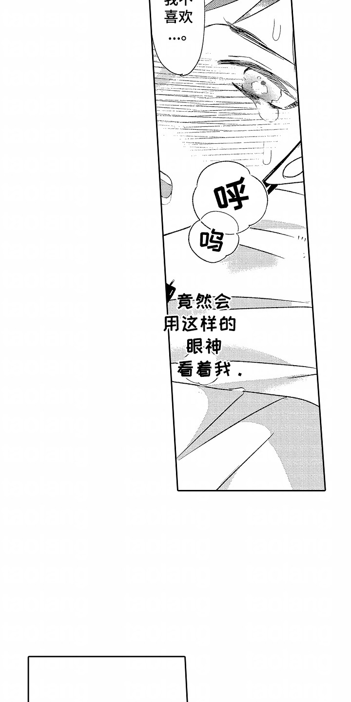 第28章：最珍贵的人1