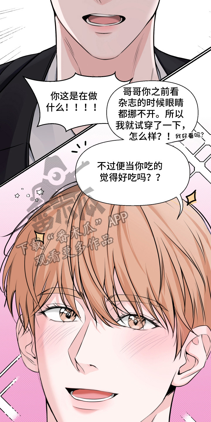 突击告白漫画,第1章：便当2图