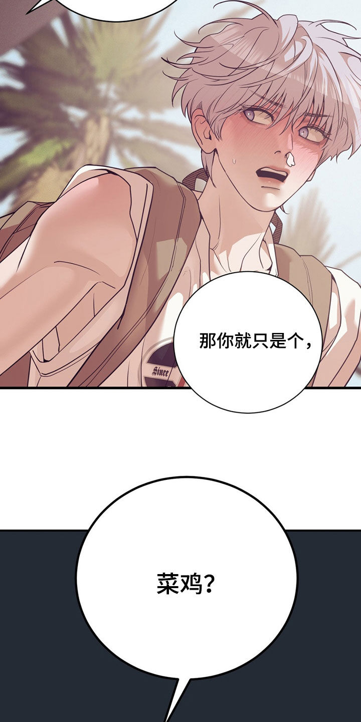 贝壳少年在线免费观看漫画,第191章：【外传】指导4图