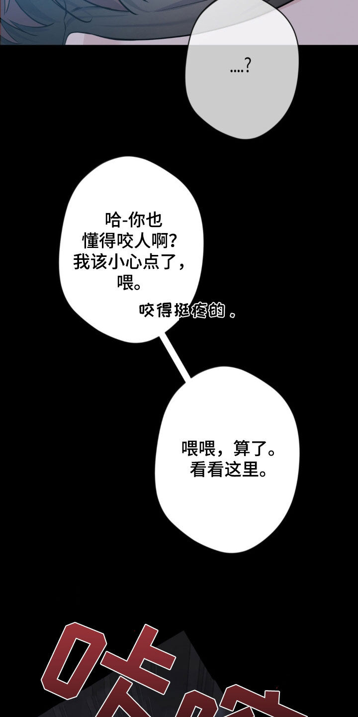 天使圣痕漫画,第47章：绑架1图