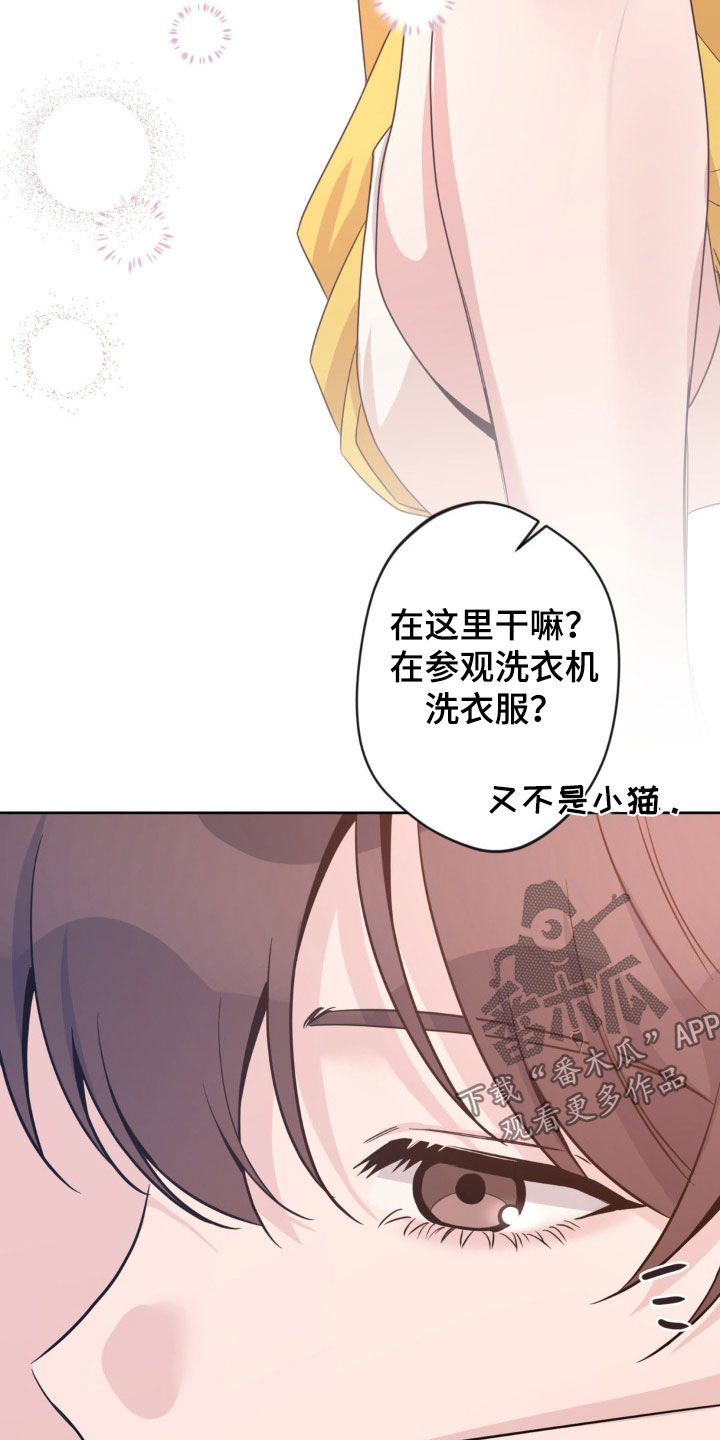 天使圣痕漫画,第43章：结束协约4图