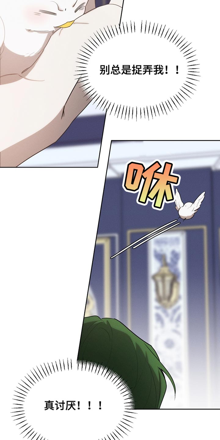 白鸟获取漫画,第69章：随意变身5图