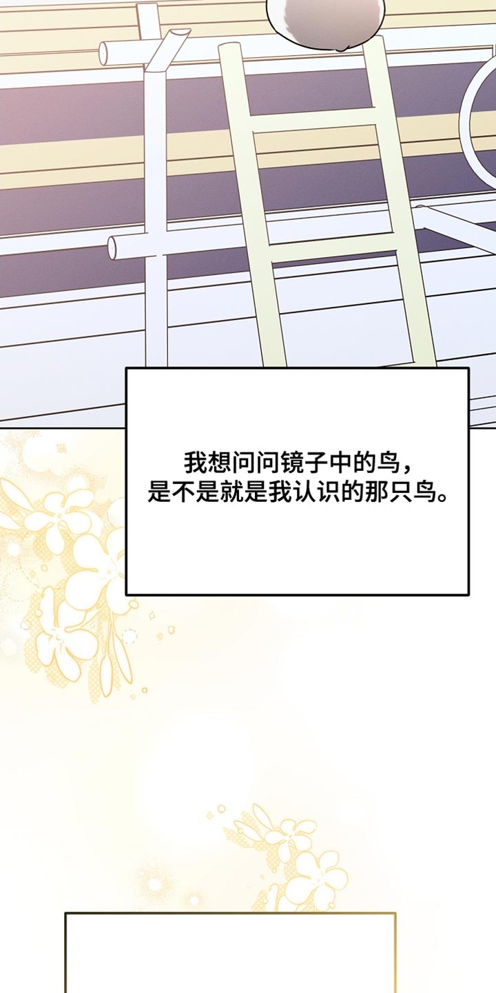 白鸟红酒漫画,第70章：我稍微明白了2图