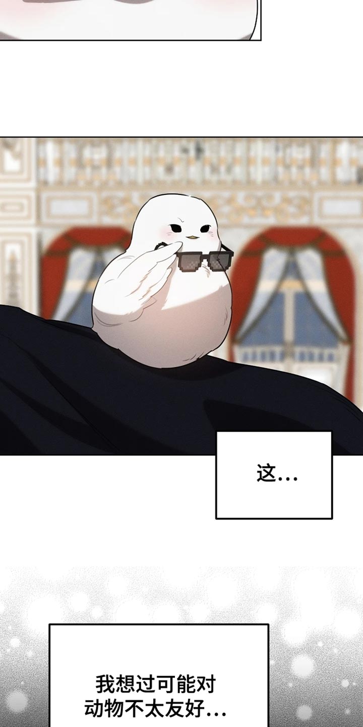 白鸟奇遇记漫画全集漫画,第72章：本身就很帅气3图