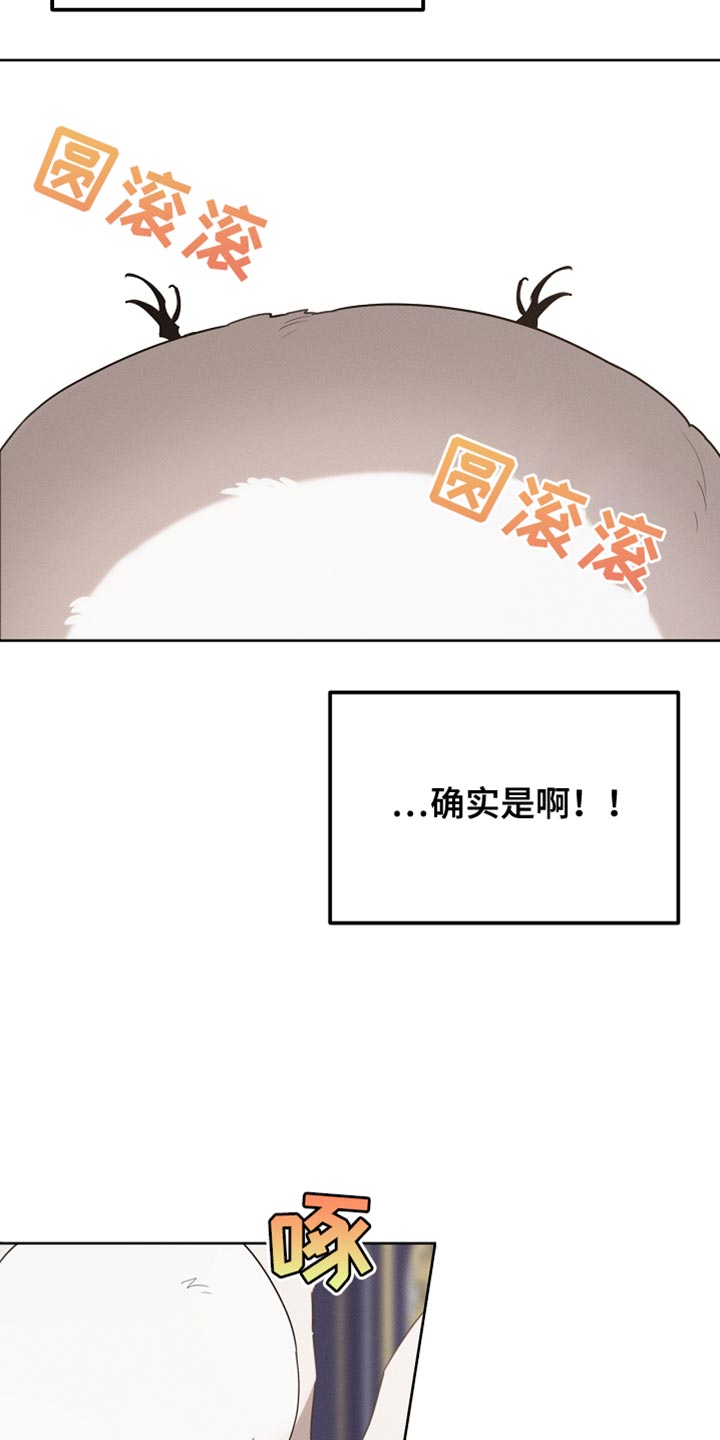 白鸟获取漫画,第69章：随意变身4图