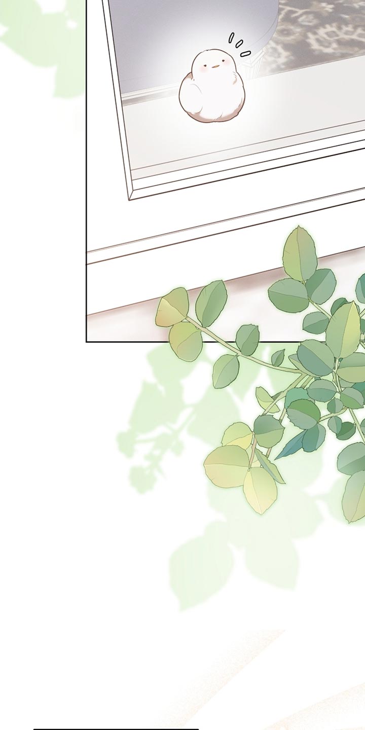 白鸟红酒漫画,第70章：我稍微明白了2图