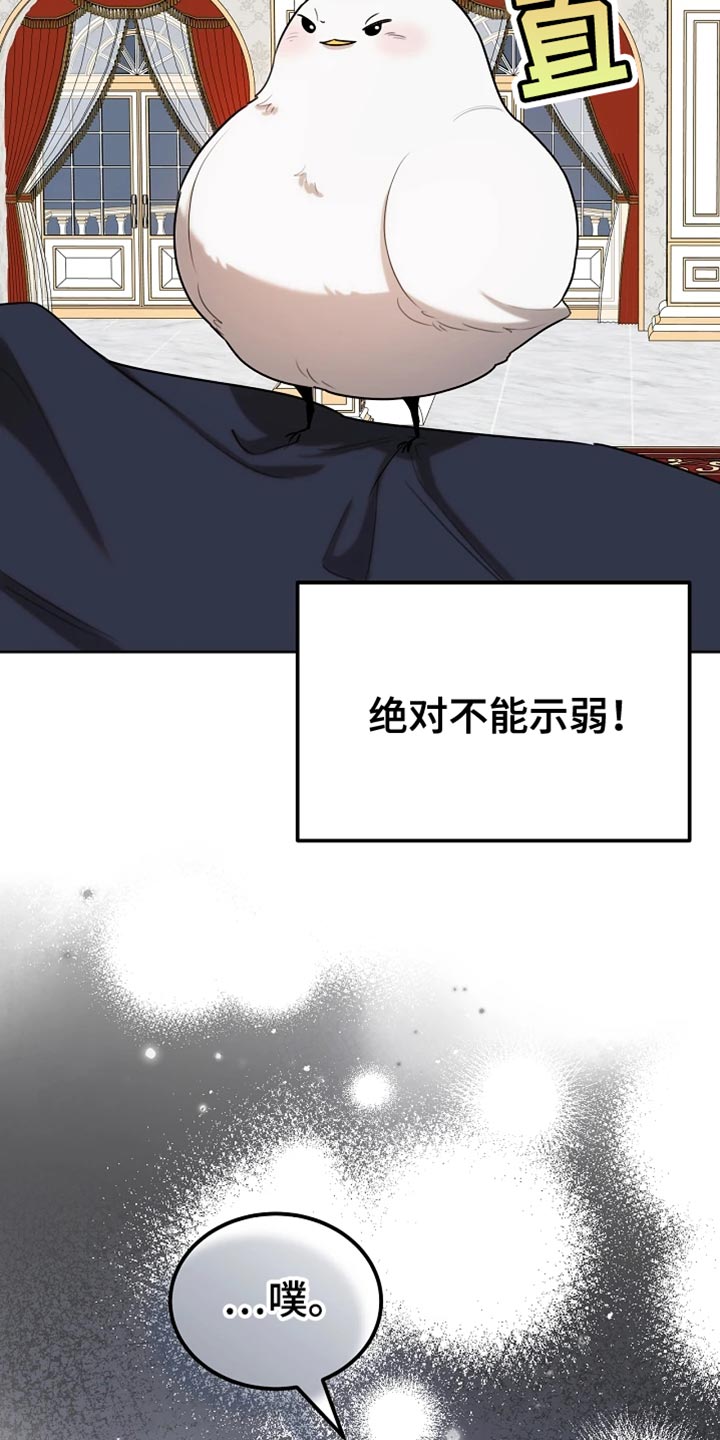 白鸟获取漫画,第72章：本身就很帅气3图