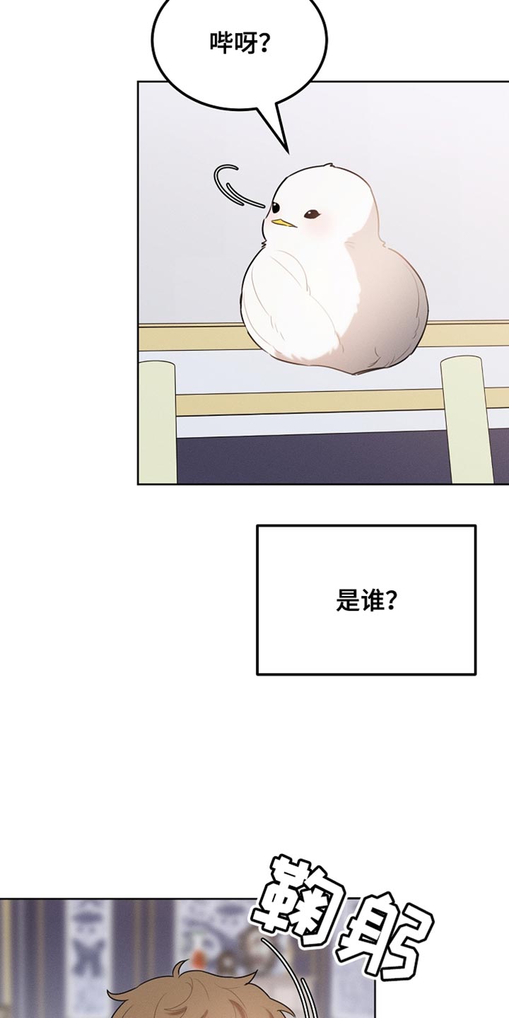 白鸟红酒漫画,第70章：我稍微明白了1图