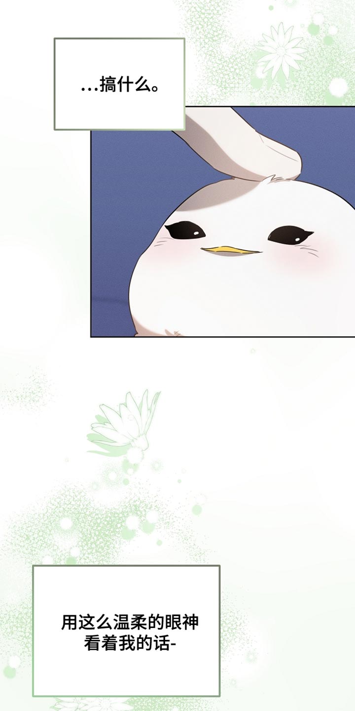 白鸟红酒漫画,第70章：我稍微明白了1图