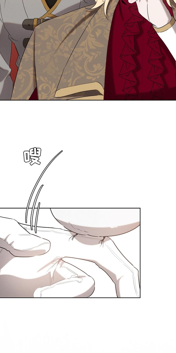 《白鸟奇遇记》简介漫画,第73章：舞蹈1图