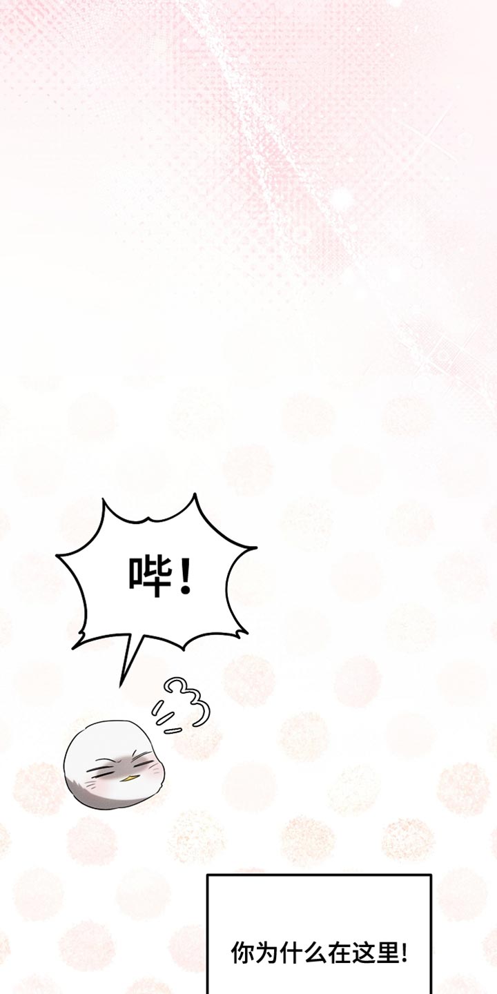 《白鸟奇遇记》简介漫画,第73章：舞蹈4图