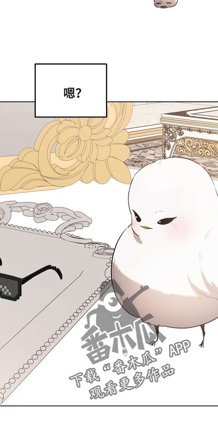 白鸟奇遇记1至200集漫画,第71章：眼镜3图