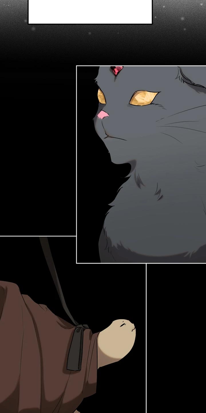 白鸟奇遇记漫画全集漫画,第72章：本身就很帅气4图