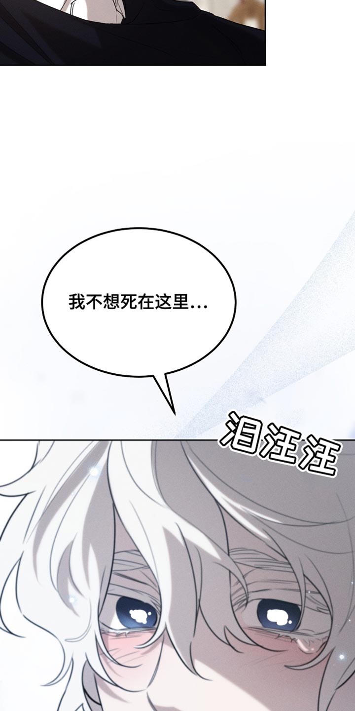 白鸟奇遇记漫画全集漫画,第74章：有这胆子？4图
