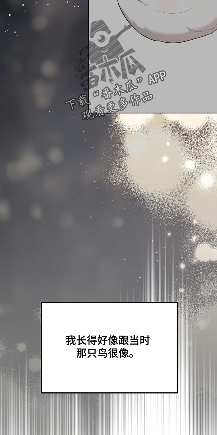 白鸟红酒漫画,第70章：我稍微明白了5图