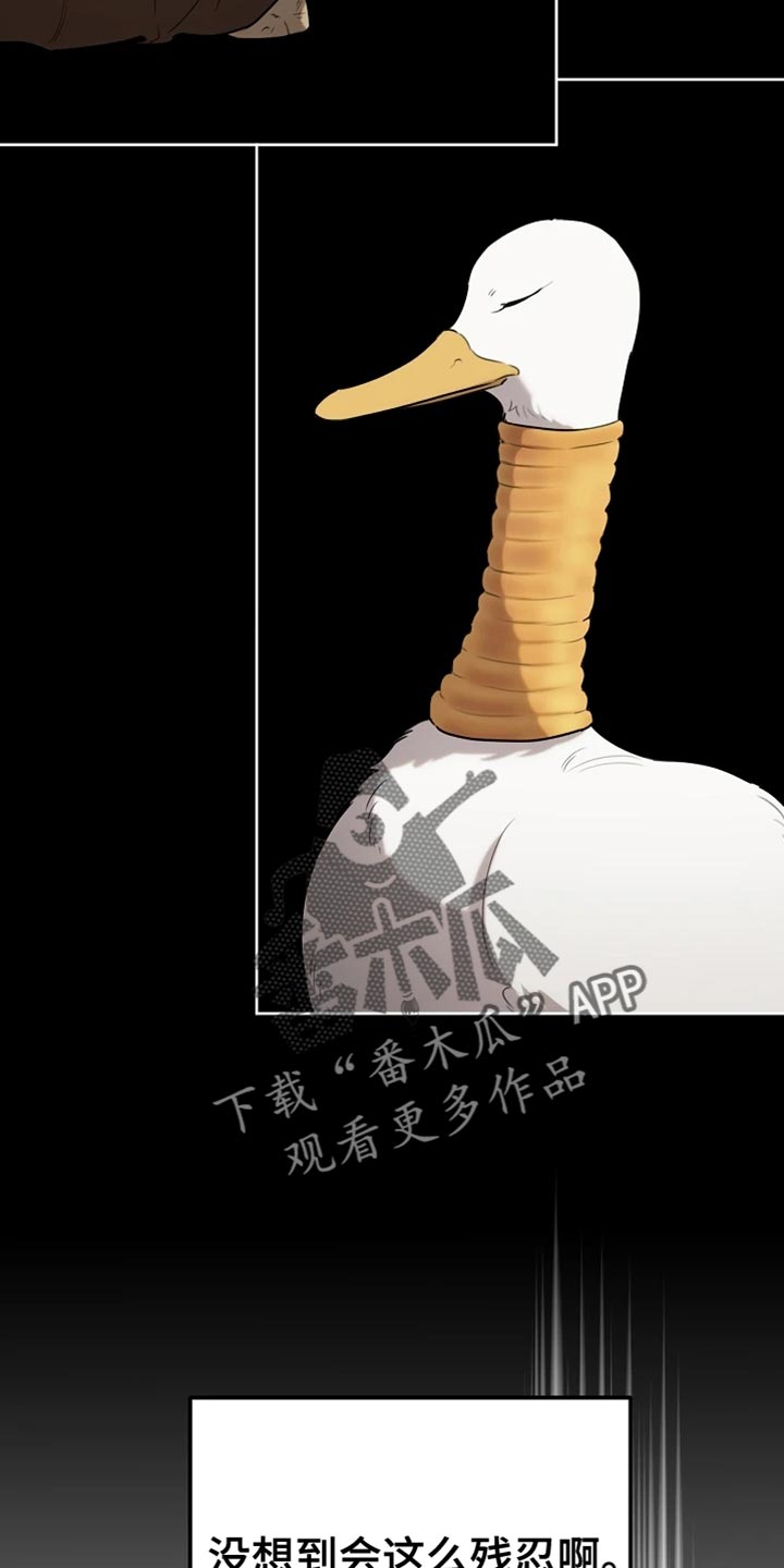 白鸟奇遇记漫画全集漫画,第72章：本身就很帅气5图