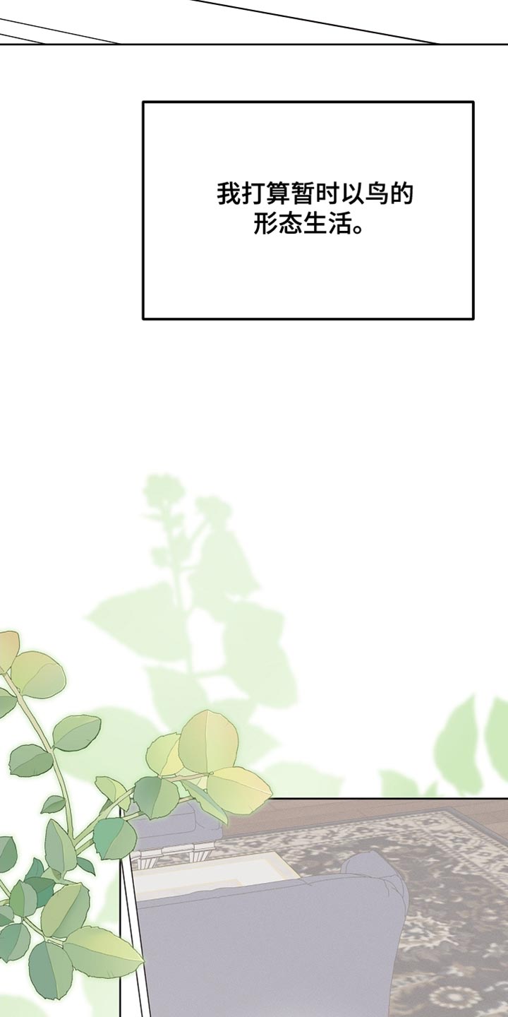 白鸟红酒漫画,第70章：我稍微明白了1图