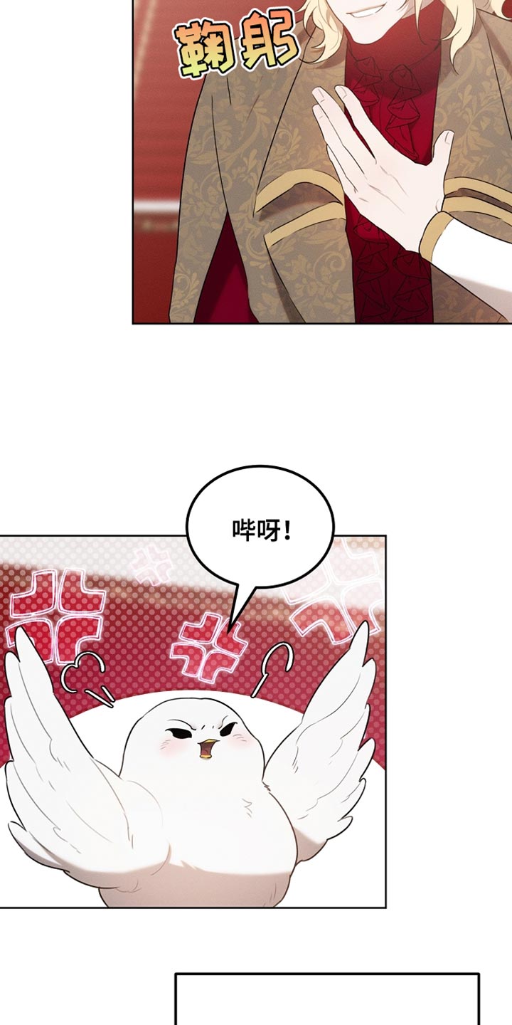 《白鸟奇遇记》简介漫画,第73章：舞蹈4图