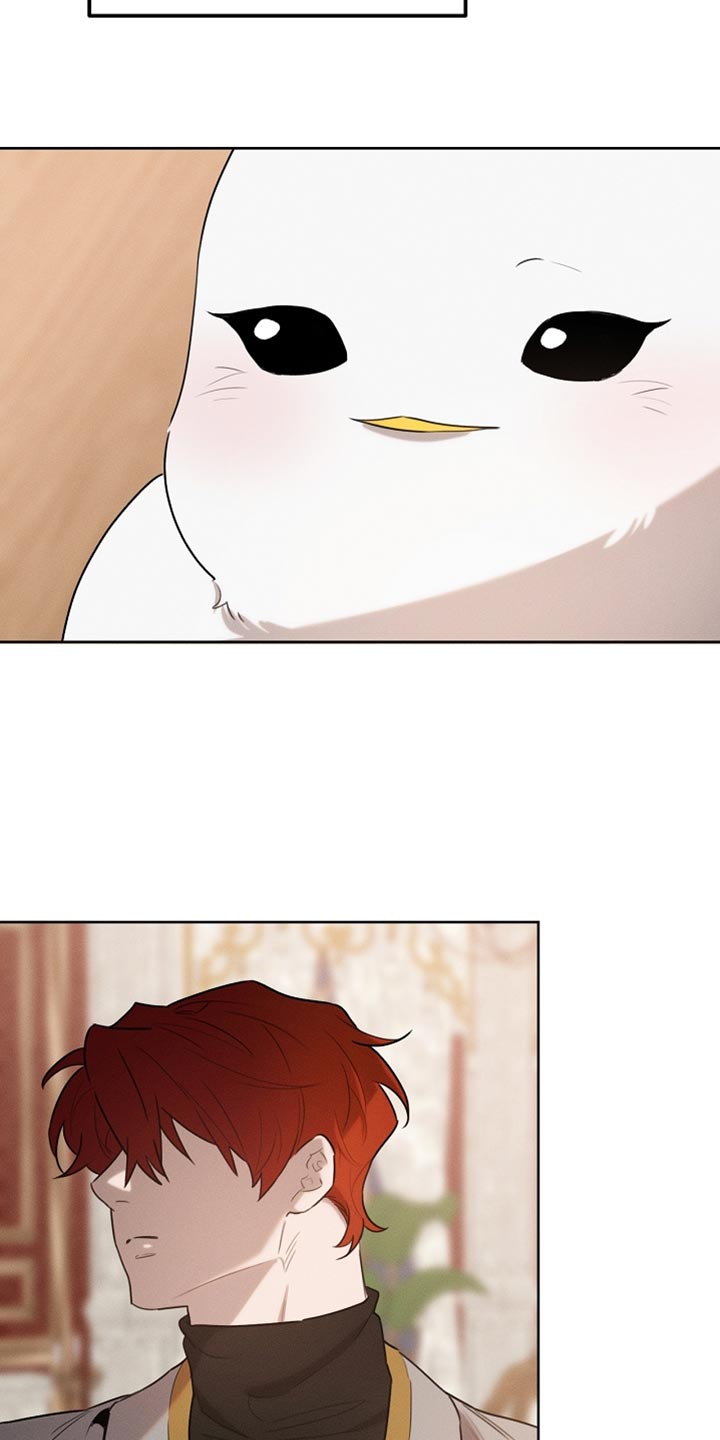 白鸟奇遇记漫画全集漫画,第74章：有这胆子？4图