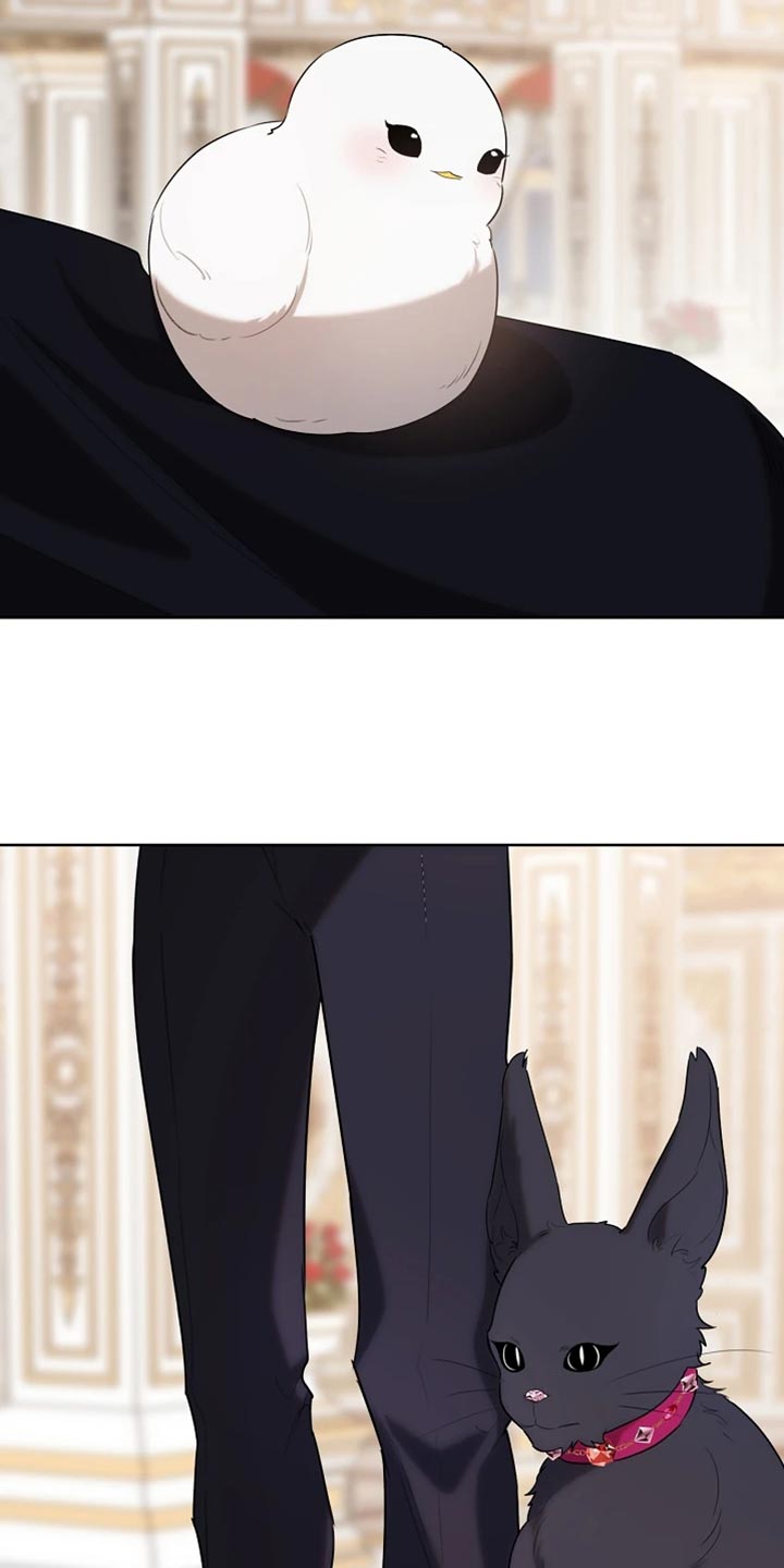 白鸟获取漫画,第72章：本身就很帅气4图